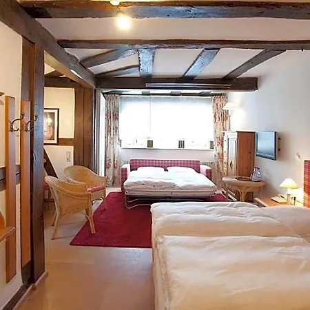 فندق Karpfen 3*