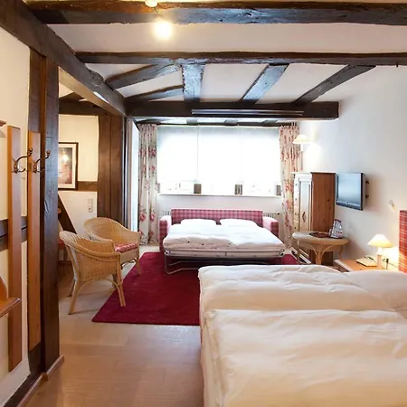 Karpfen Hotel 3*